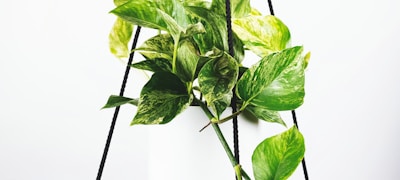 圣西罗球场宏伟外观与AC米兰队徽特写